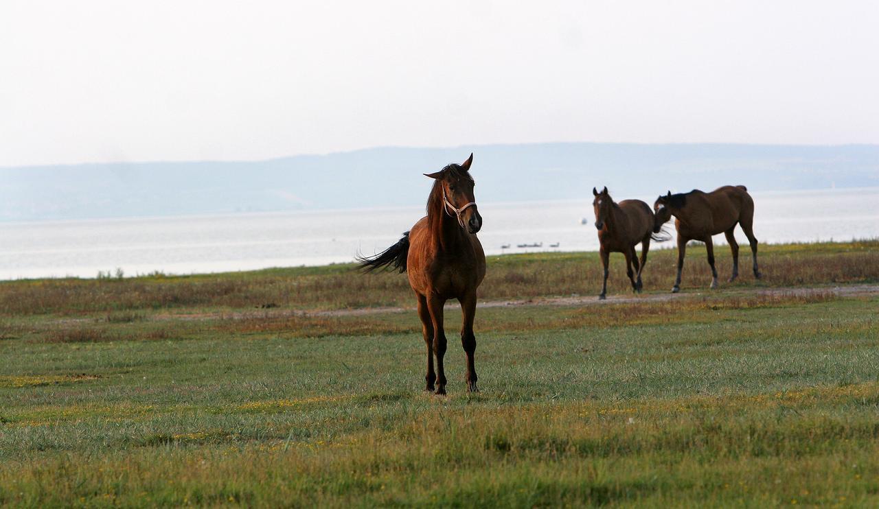 Georgshof Hotell Podersdorf am See Eksteriør bilde